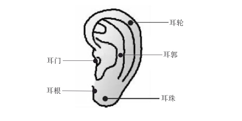 耳朵上各处痣的命运图（女耳朵有痣含义）插图1