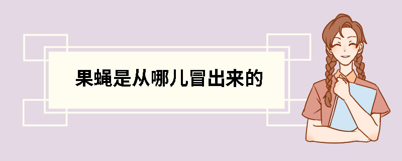 果蝇是从哪儿冒出来的（果蝇生命周期和繁殖方式）