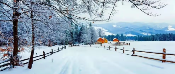 女性梦见下大雪是什么征兆，梦见下大雪女性是什么预兆