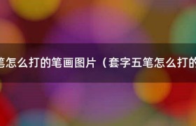 套字五笔输入法怎么打（套字五笔怎样打出来）