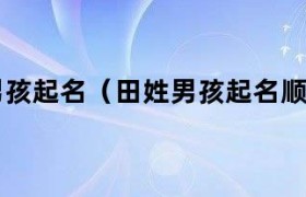 姓田的男孩取什么名字好2020年（姓田男孩起什么名字）