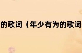年少有为的歌词完整版 年少有为歌曲歌词