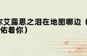 女神护佑着你是什么任务 女神护佑着你艾露恩之泪位置