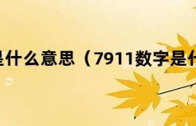 7911是什么商户 7911是什么意思中文