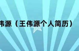 王伟源哪里人 王伟源个人资料