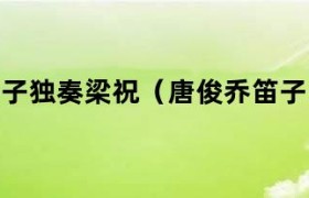 唐俊乔笛子独奏曲视频 唐俊乔的笛子曲
