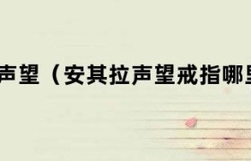 魔兽世界怀旧服安琪拉声望戒指属性 安其拉声望戒指在哪换