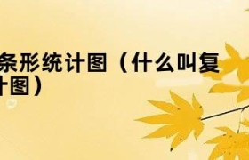 什么叫复式条形统计图（什么叫复式条形统计图）