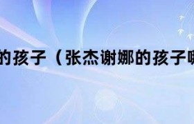 张杰和谢娜的宝宝是男孩还是女孩 张杰跟谢娜的宝宝叫什么名字