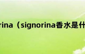 signorina香水要多少钱一瓶 signorina什么牌子的香水