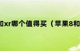 苹果8p和xr哪个值得买 苹果8p和xr哪个好