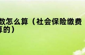 社会保险缴费 社会保险缴纳基数怎么算