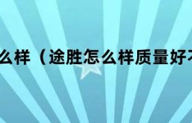 途胜l2025款最新价格图片及价格 途胜l2025款与途胜有区别吗