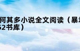 暴君by漫漫何其多小说全文阅读（暴君by漫漫何其多52书库）