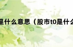 股市t0是什么意思（股市t0是什么意思） 股票t0