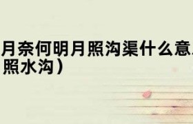 我本将心向明月奈何明月照沟渠意思 我本将心向明月照沟渠啥意思