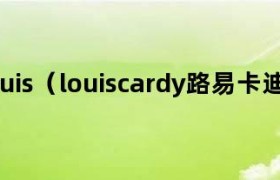 路易卡迪34349 路易卡迪贵不贵
