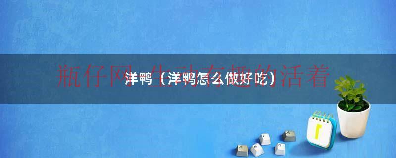洋鸭（洋鸭怎么做好吃）