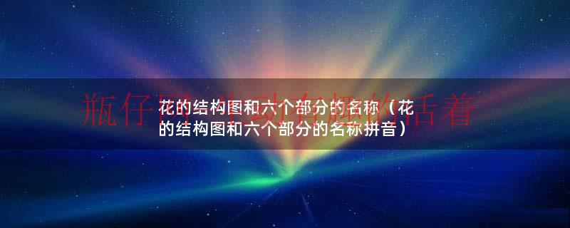 花的结构图和六个部分的名称（花的结构图和六个部分的名称拼音）