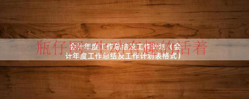 会计年度工作总结及工作计划（会计年度工作总结及工作计划表格式）