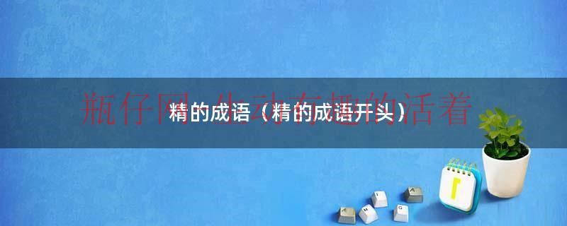 精的成语（精的成语开头）