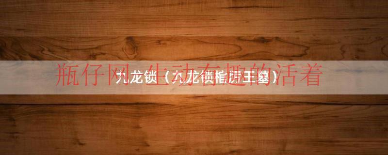 九龙锁（九龙锁棺厉王墓）
