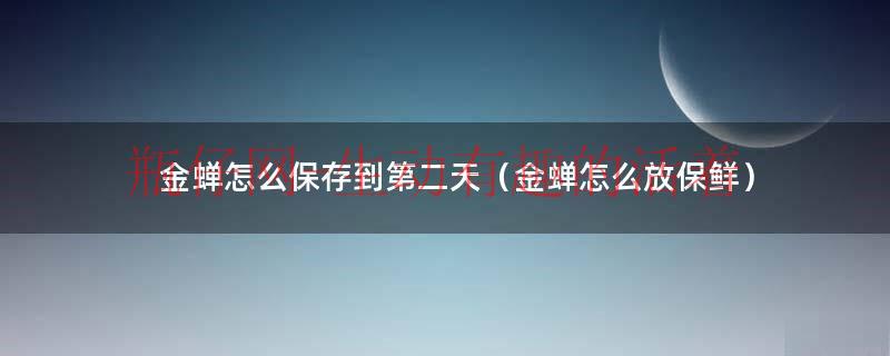 金蝉怎么保存到第二天（金蝉怎么放保鲜）