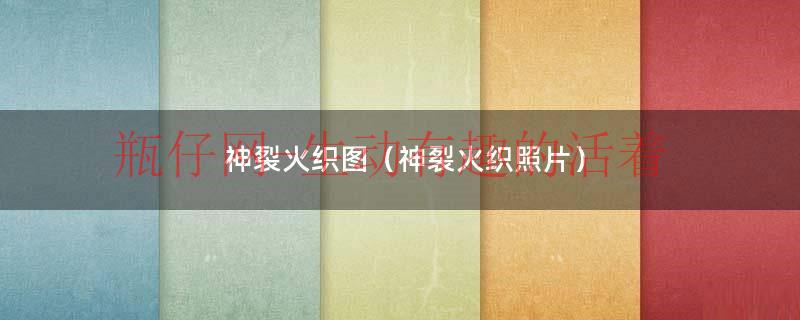 神裂火织图（神裂火织照片）