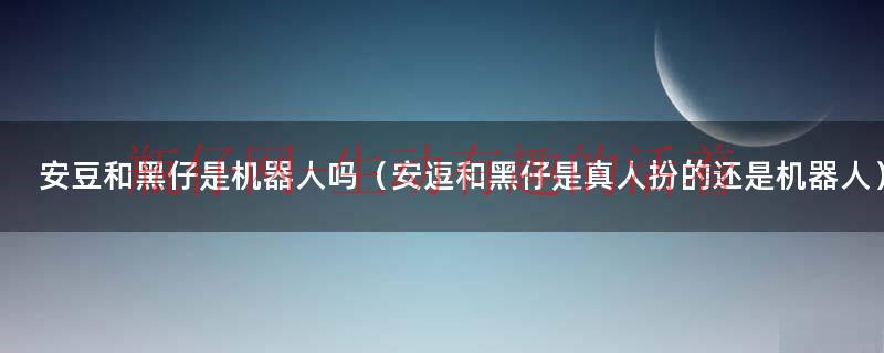 安豆和黑仔是机器人吗（安逗和黑仔是真人扮的还是机器人）