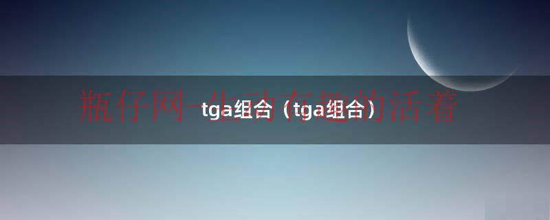 tga组合（tga组合）