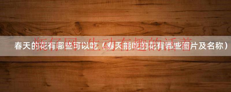 春天的花有哪些可以吃（春天能吃的花有哪些图片及名称）