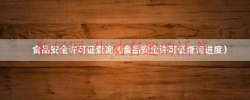 食品安全许可证查询（食品安全许可证查询进度）