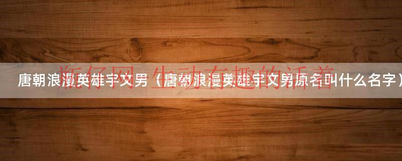 唐朝浪漫英雄宇文男（唐朝浪漫英雄宇文男原名叫什么名字）