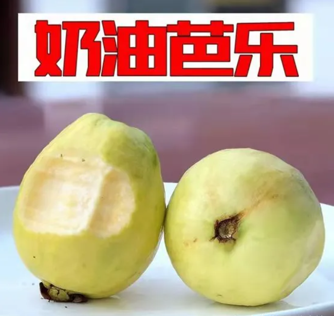 芭乐跟什么味道很像（芭乐和什么水果差不多口味）