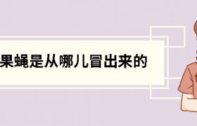 果蝇是从哪儿冒出来的（果蝇生命周期和繁殖方式）