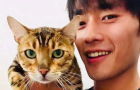 养猫的男生都是渣男吗（养猫的男生是不是渣男）