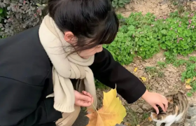 楚妃被踏仙君双腿，墨燃帮楚晚宁扩张全文