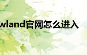 wland/hellowland.club登录入口（wland登录入口界面）