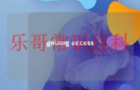 golang access缩略图