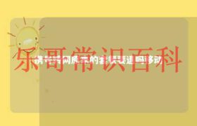 携号转网后原本的套餐 携号转网后原套餐多久失效缩略图