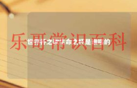 世界杯歌曲生命之杯改编 生命之杯是哪一届世界杯主题曲缩略图