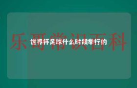 世界杯足球什么时候举行 足球世界杯什么时候开始缩略图