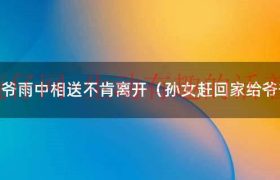 孙女回乡过完年离开奶奶含泪送别（孙女返程94岁爷爷躲门后含泪目送）缩略图