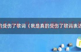 我是真的受伤了表情包（我是真的受伤了谁唱的）缩略图