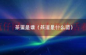 茶蛋是指哪个组合（茶叶蛋是用什么茶叶煮的）缩略图