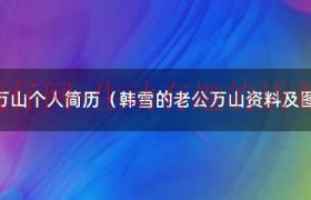 韩雪老公万山个人简历（韩雪的老公万山资料及图片个人资料）缩略图