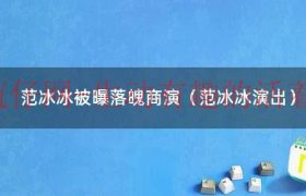 范冰冰的演绎水平似乎很一般（范冰冰的演艺之路）缩略图