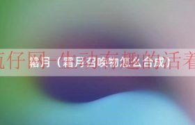 霜月召唤物叫什么（霜月召唤物使用方法）缩略图