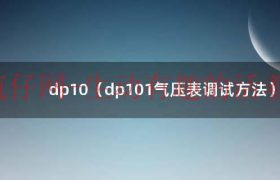 dp101气压设置方法（dp-10数显气压表设置说明书）缩略图