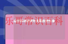 山东移动流量套餐哪个划算 山东移动套餐外流量怎么收费缩略图